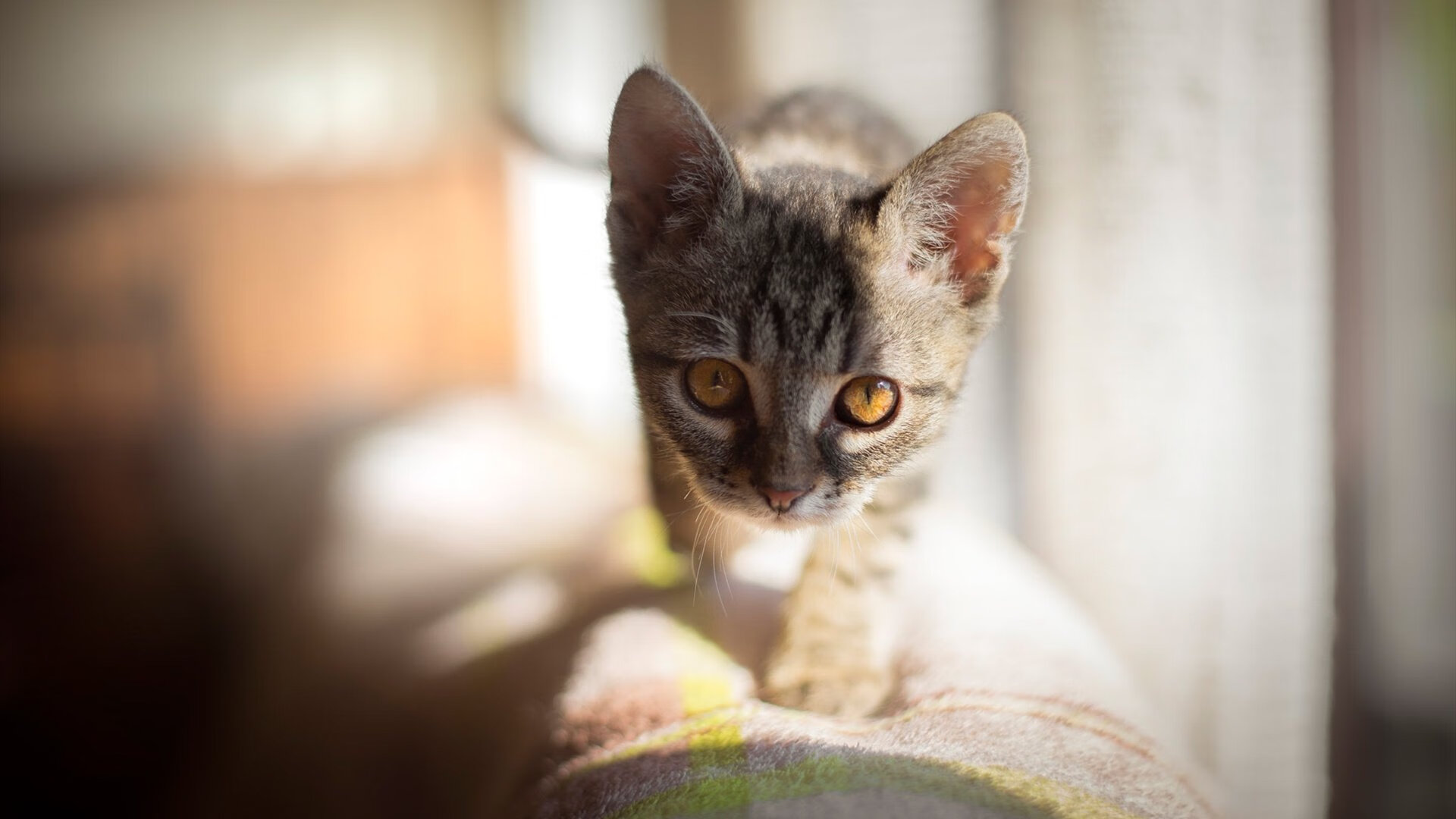 球队上半场进球率是否决定其整体排名走势，上半场进球大1