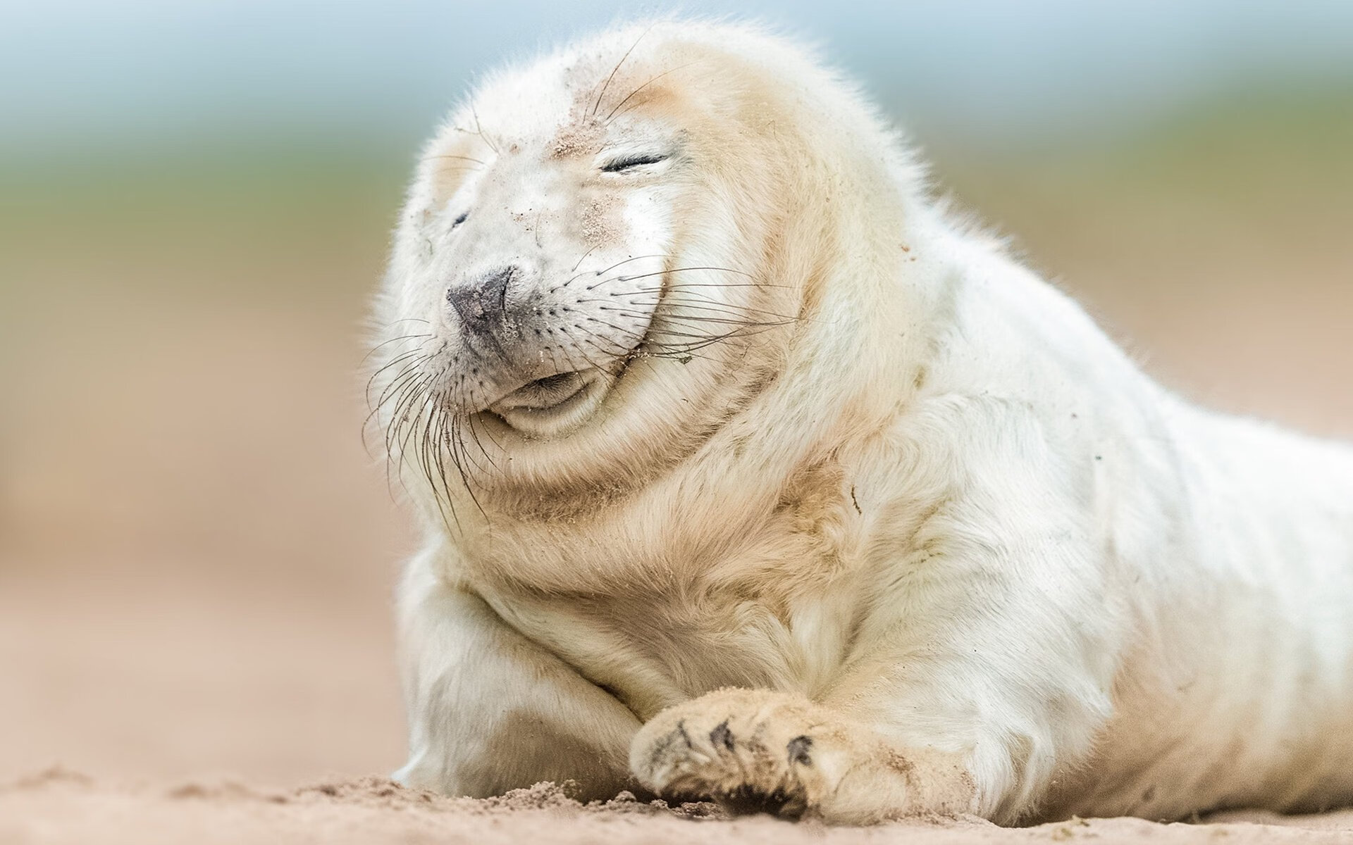 体育总局发布运动损伤预防指南,运动损伤的预防原则及常用方法